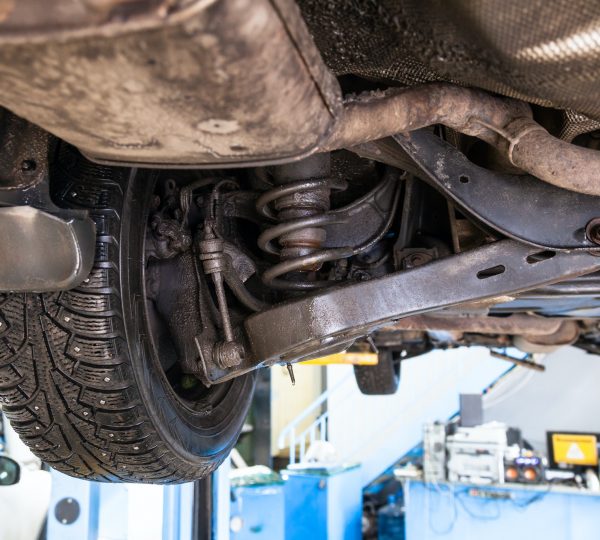 bottom view of vehicle on Shop Car Lift